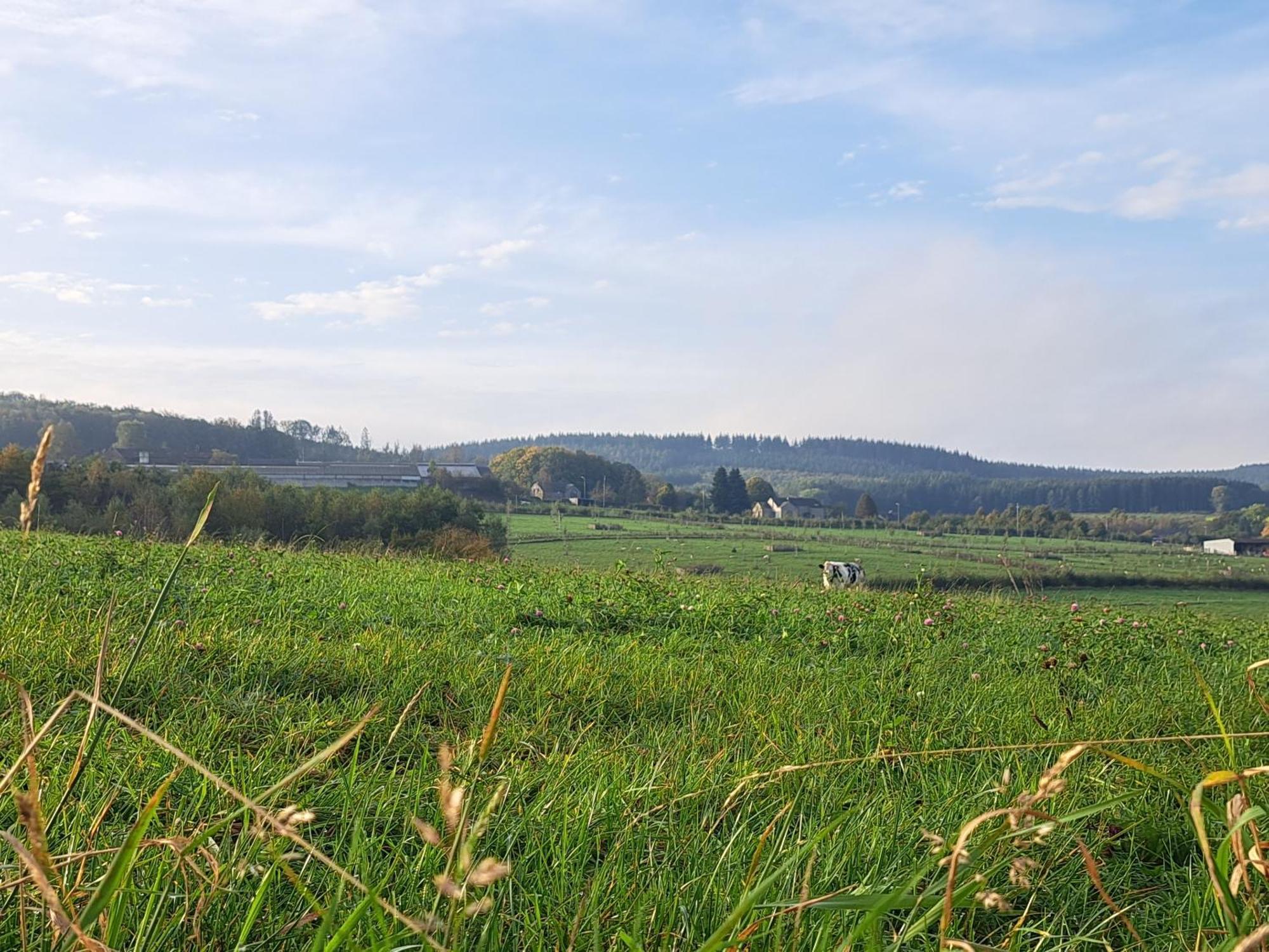 Gite Al Fontaine La-Roche-en-Ardenne Ngoại thất bức ảnh