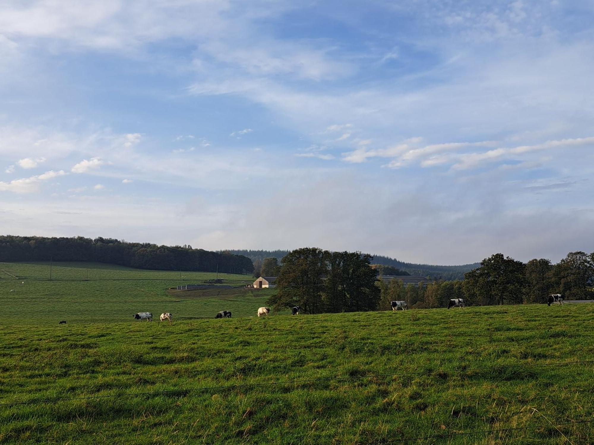 Gite Al Fontaine La-Roche-en-Ardenne Ngoại thất bức ảnh